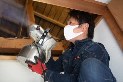 天井裏のネズミを自力で撃退！効果的な駆除方法と再発防止策を徹底解説