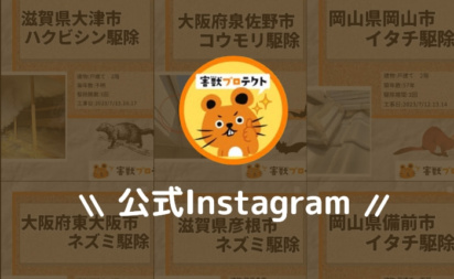害獣プロテクト 公式Instagram