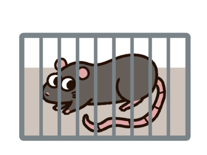 【初心者向け】マンションでネズミを見つけたら？駆除・対策・費用まで徹底解説