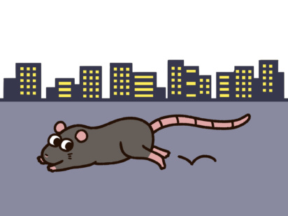 ドブネズミ駆除の完全ガイド｜自分でできる対策から業者依頼まで徹底解説