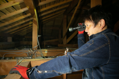 一軒家でのネズミ駆除完全ガイド｜リスク・対策・費用・予防策まで初心者向けに徹底解説