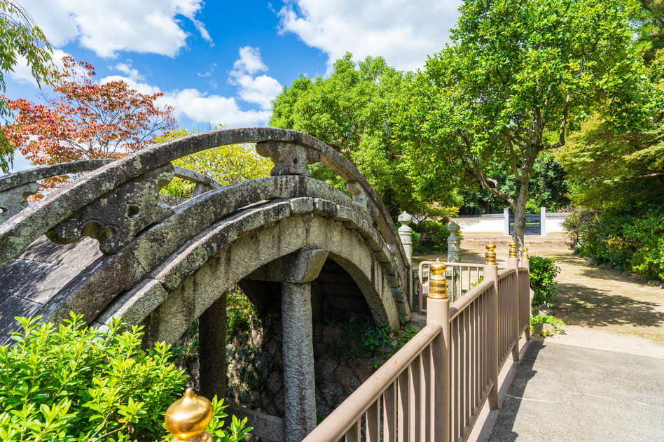 大阪府羽曳野市の害獣駆除に関する公的な相談先