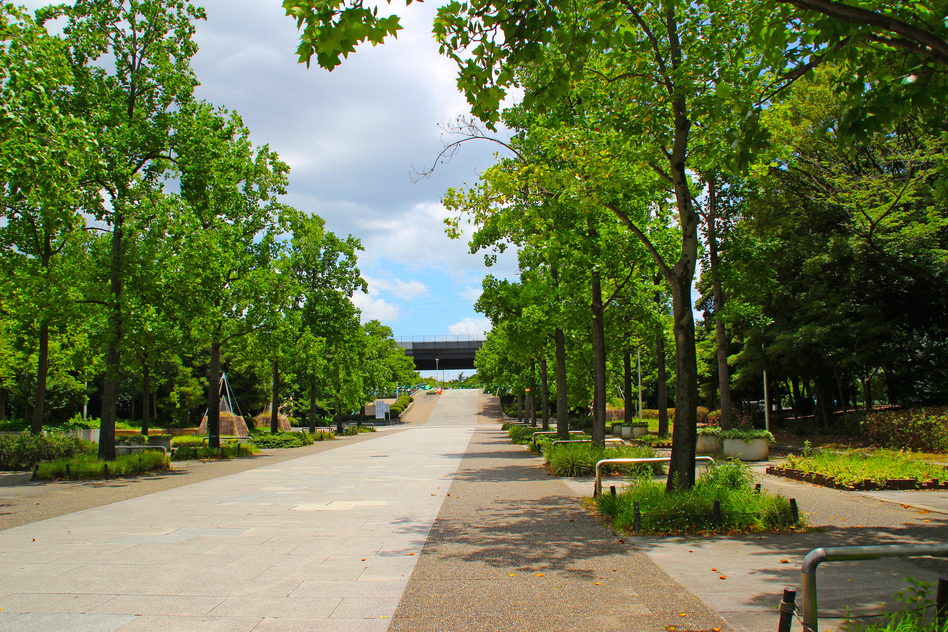 大阪府八尾市の害獣駆除に関する公的な相談先