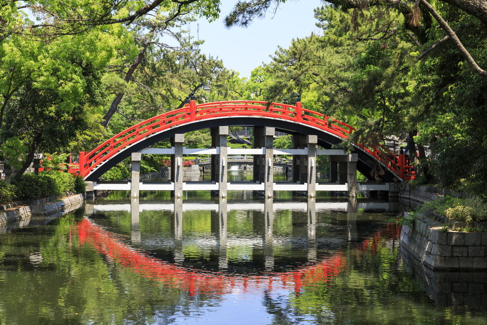 大阪市住吉区の害獣駆除に関する公的な相談先