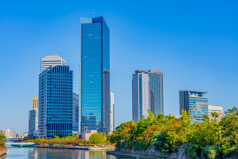 大阪市京橋の害獣駆除に関する公的な相談先