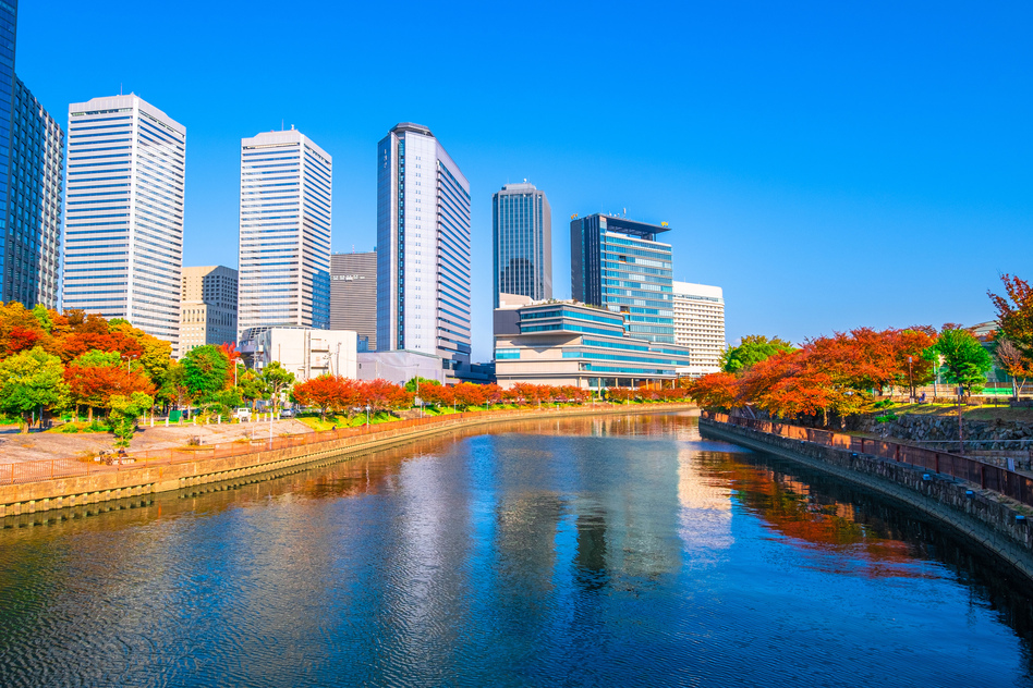 大阪府寝屋川市の害獣駆除に関する公的な相談先