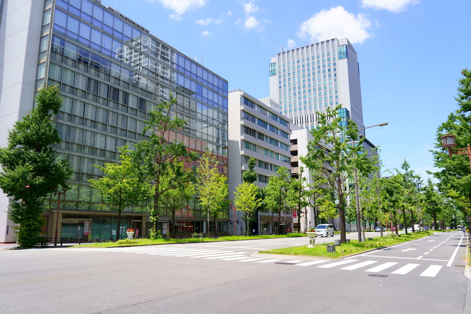 大阪市本町の害獣駆除に関する公的な相談先