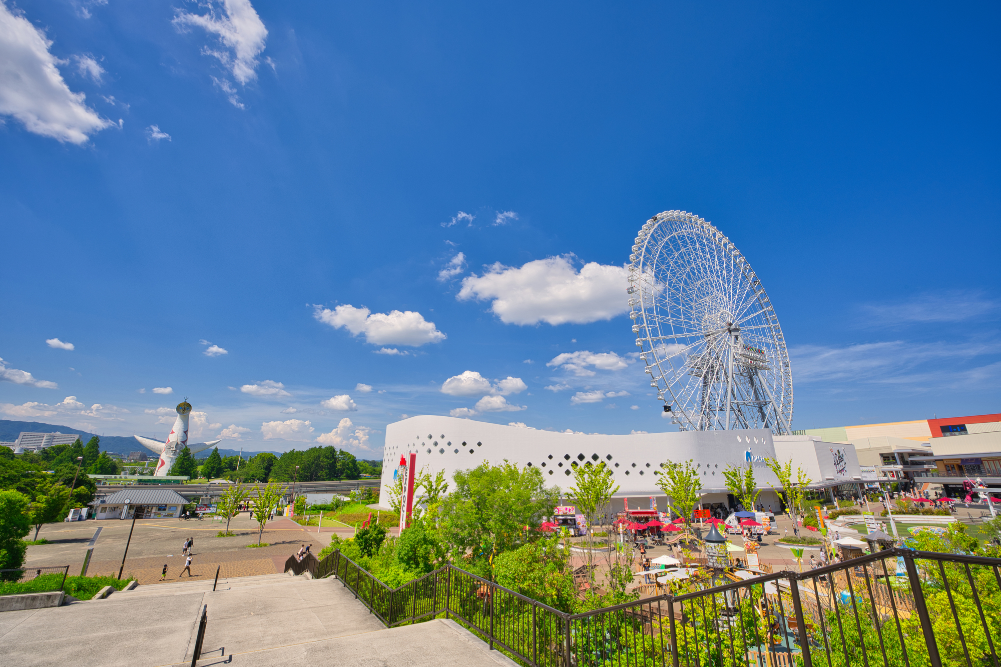 大阪府吹田市の害獣駆除に関する公的な相談先