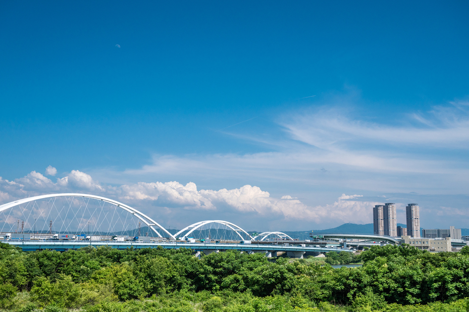 大阪府守口市の害獣駆除に関する公的な相談先