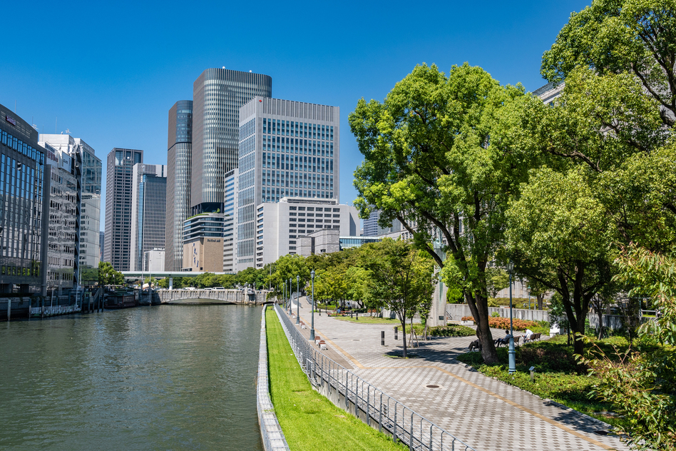 大阪市北区の害獣駆除に関する公的な相談先