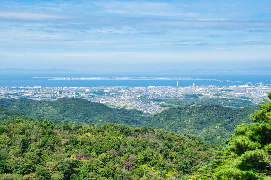 大阪府泉佐野市の害獣駆除に関する公的な相談先